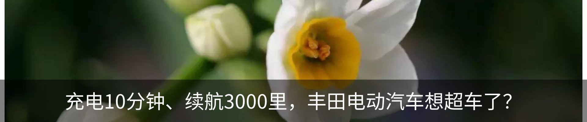行业资讯